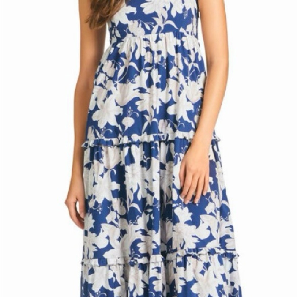 Sachin + Babi Blue and White Floral Maxi Dress